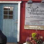 Hedvigs Trädgård