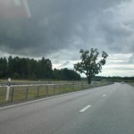 Go South!