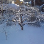 Strålande morgon