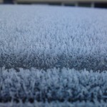 Frosten täcker numera bilen