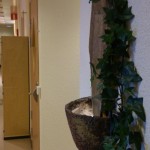 Fredagsmys - besök hos käftis